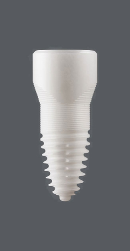 Dentalimplantat SDS2.0_4.60 x 11.00-oval