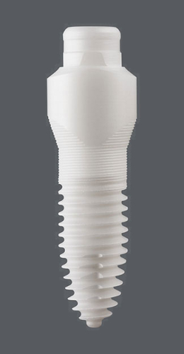 Dentalimplantat SDS1.1_4.60 x 14.00-oval
